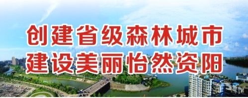 插黑逼视频网站创建省级森林城市 建设美丽怡然资阳